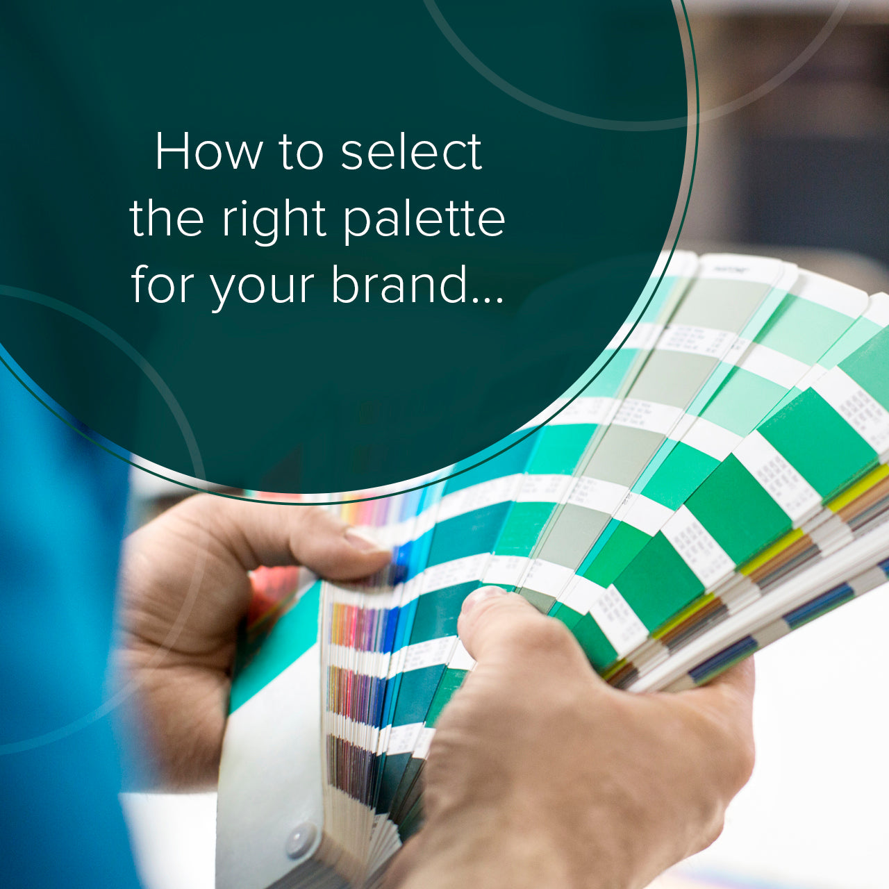 Colour Psychology: How to Select the Right Palette for Your Brand